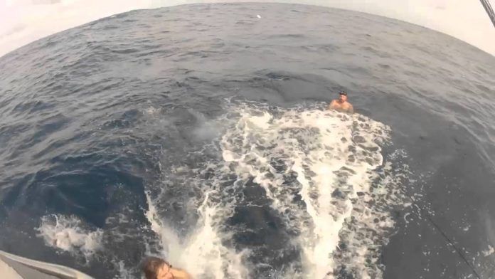 Atlantik Okyanusunda Yüzmek