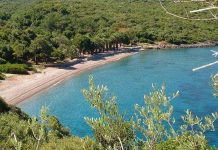 Türkiye’de Araçla Gidilecek 5 Rota