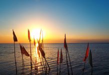 Trinidad Adası Görülecek Yerler