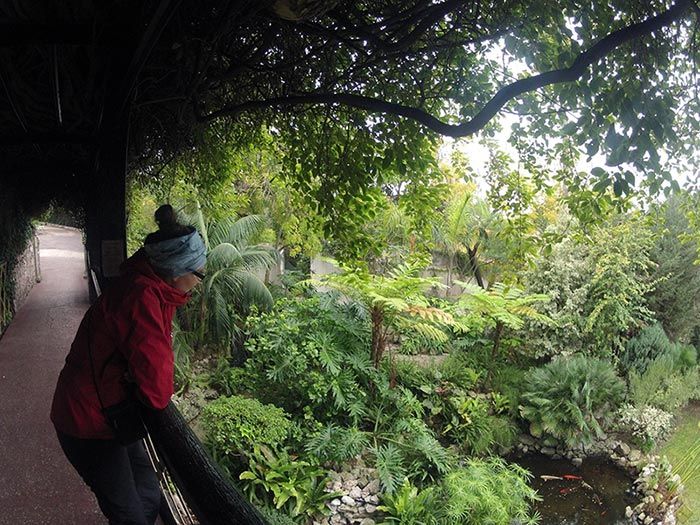 Cebelitarık Alameda Botanik Bahçesi &ndash; Yolda Kal