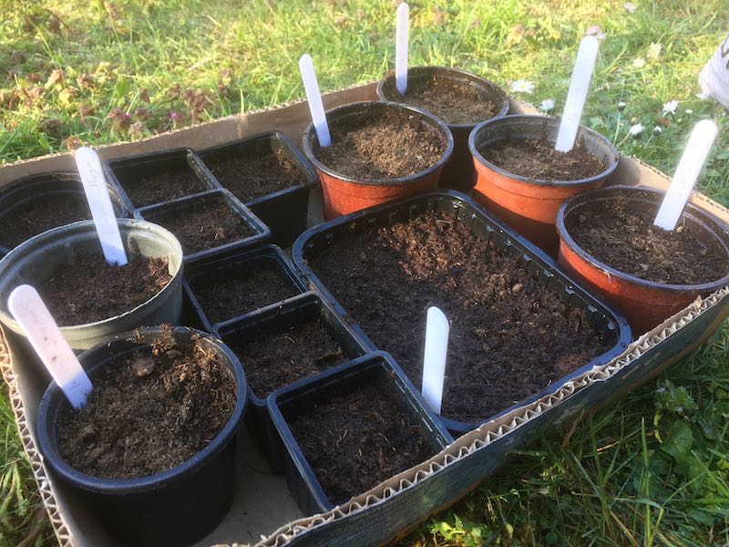 Coronavirüs Günlüğü 05: Yasaklar ve Tohumlar | Yolda Kal