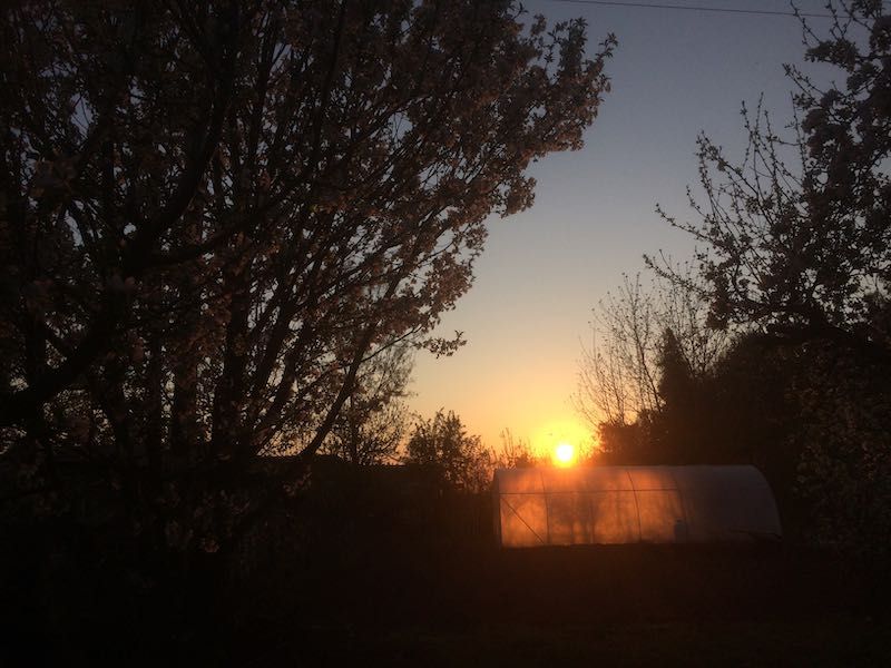 Coronavirüs Günlüğü 05: Yasaklar ve Tohumlar | Yolda Kal